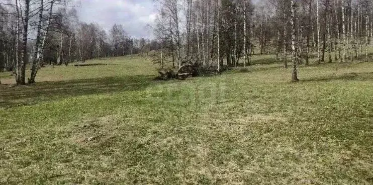 Участок в Алтай, Чемальский район, Чепошское с/пос, Сибирь тер.  ... - Фото 1