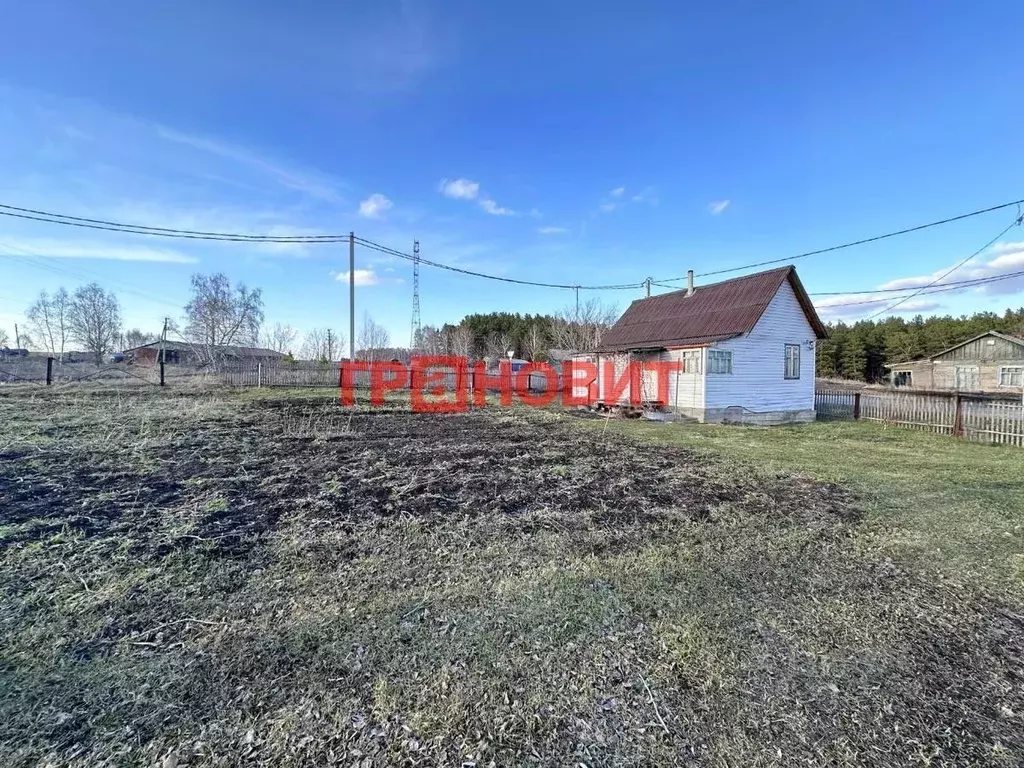 Участок в Новосибирская область, Тогучинский район, с. Усть-Каменка ... - Фото 2