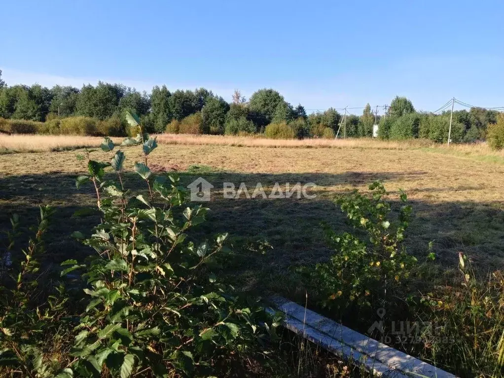 Участок в Ленинградская область, Приозерский район, Громовское с/пос, ... - Фото 1