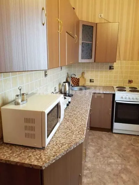 2-к кв. Новосибирская область, Новосибирск Горский мкр, 11 (55.0 м) - Фото 1