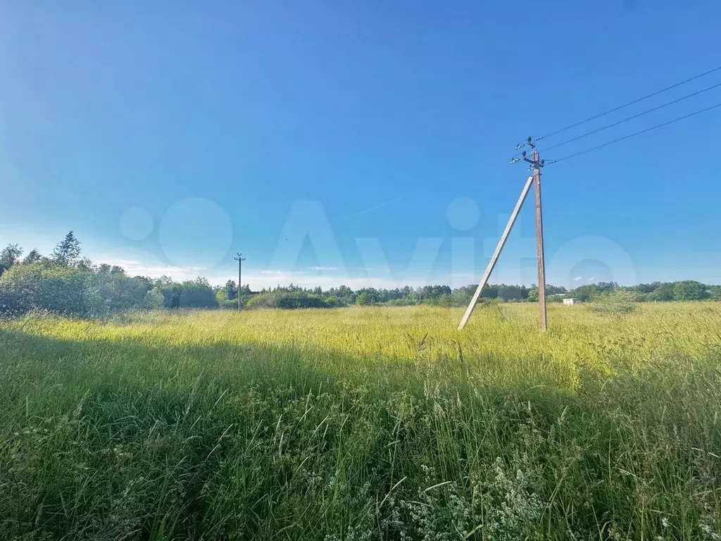 Участок 2 га (ИЖС) - Фото 0