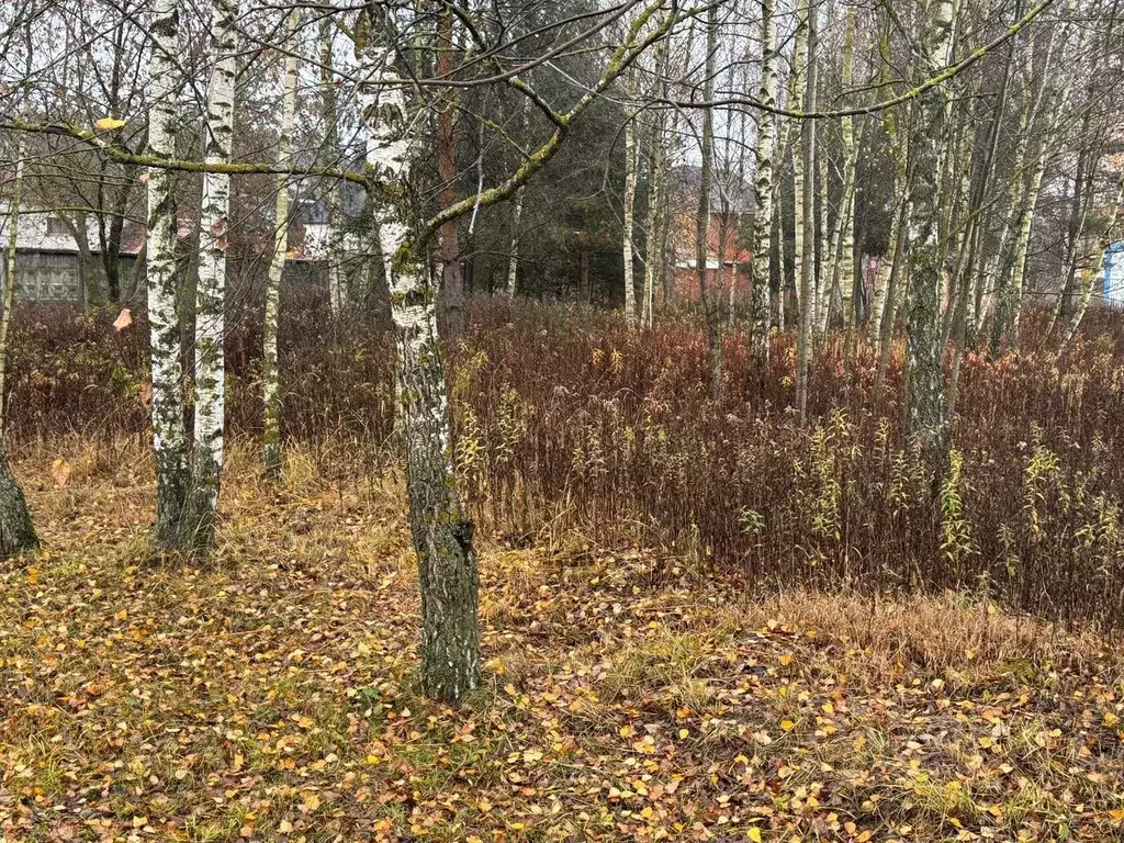 Участок в Московская область, Богородский городской округ, пос. ... - Фото 1