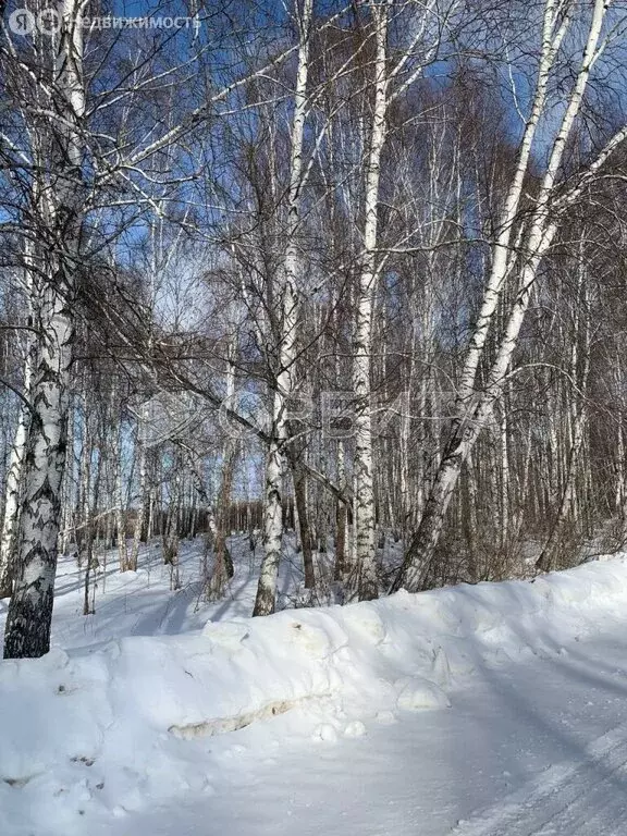 Участок в Тюмень, Велижанский тракт, 9-й километр, 18Б (10 м) - Фото 1