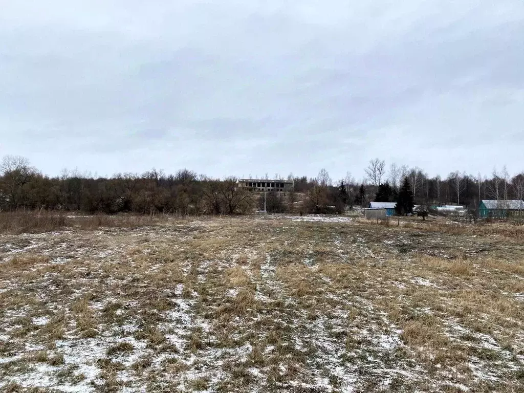 Участок в Калужская область, Козельский муниципальный округ, Нижние ... - Фото 2