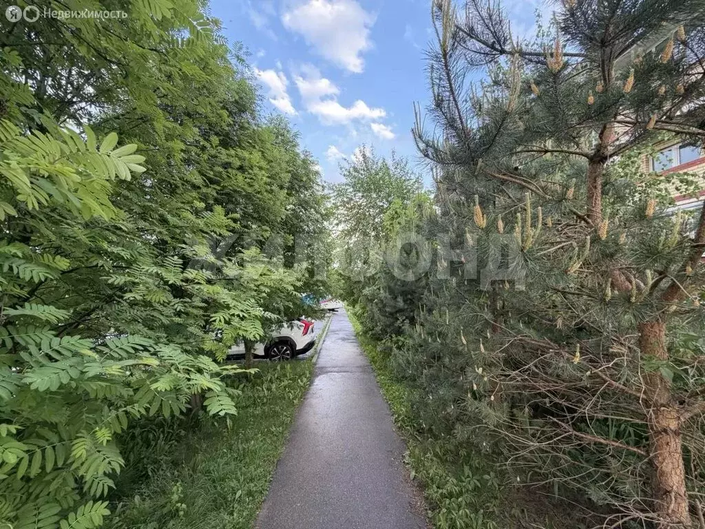 1-комнатная квартира: Клин, Клинская улица, 50к1 (29 м) - Фото 1
