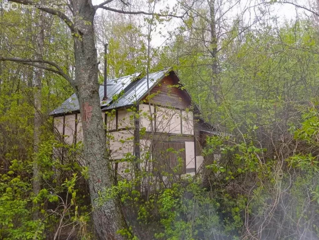 Дом в Тверская область, Конаковский муниципальный округ, село ... - Фото 1