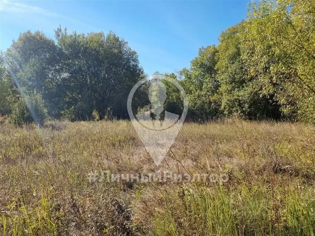 Участок в Рязанская область, Пронский муниципальный округ, Деревня ... - Фото 1