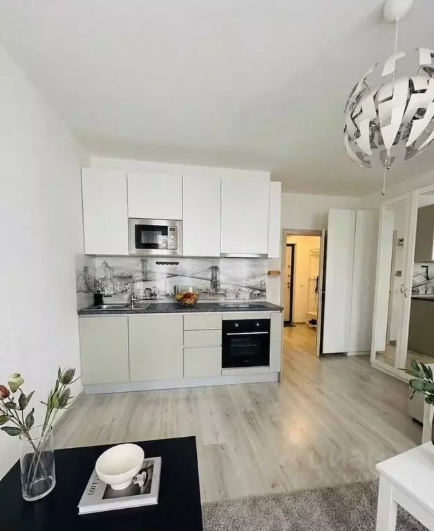 Студия Санкт-Петербург ул. Верхне-Каменская, 7к1 (24.7 м) - Фото 1