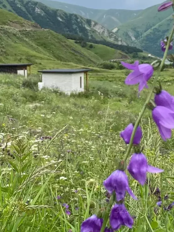 Дом в Дагестан, Ботлихский сельсовет, с. Ботлих  (12 м) - Фото 1