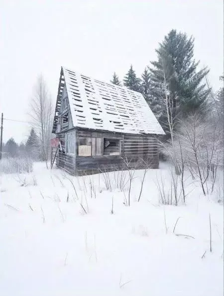 Участок в Ленинградская область, Волховский район, Кисельнинское ... - Фото 1