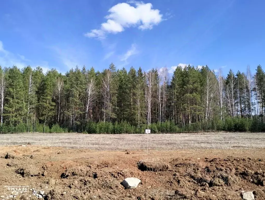 Участок в Свердловская область, Белоярский городской округ, пос. ... - Фото 0