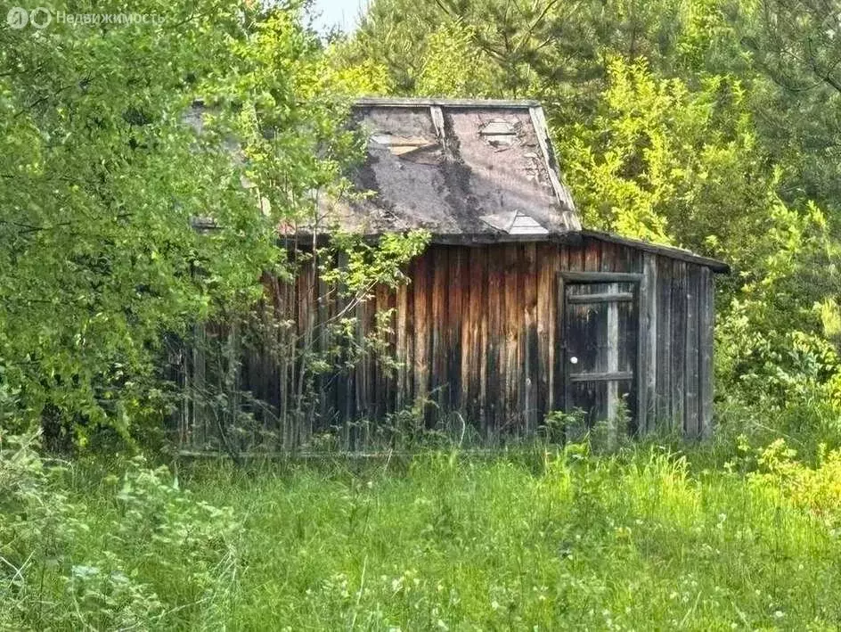 Участок в Пасеговское сельское поселение, СДТ Наука (8 м) - Фото 0
