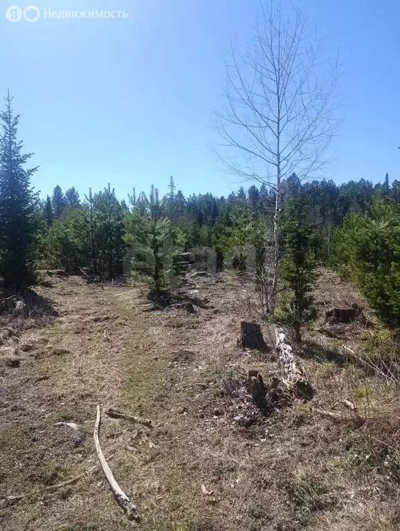 Участок в село Кебезень, Сосновая улица (10.49 м) - Фото 2