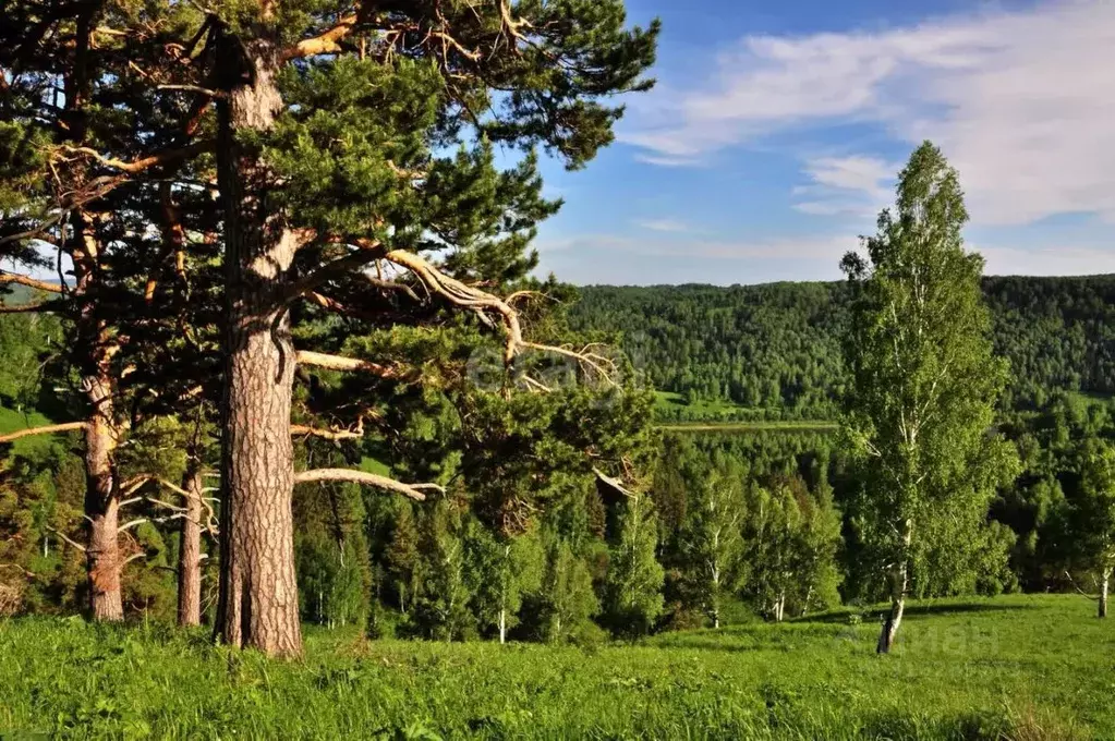 Участок в Кемеровская область, Кемеровский муниципальный округ, д. ... - Фото 1