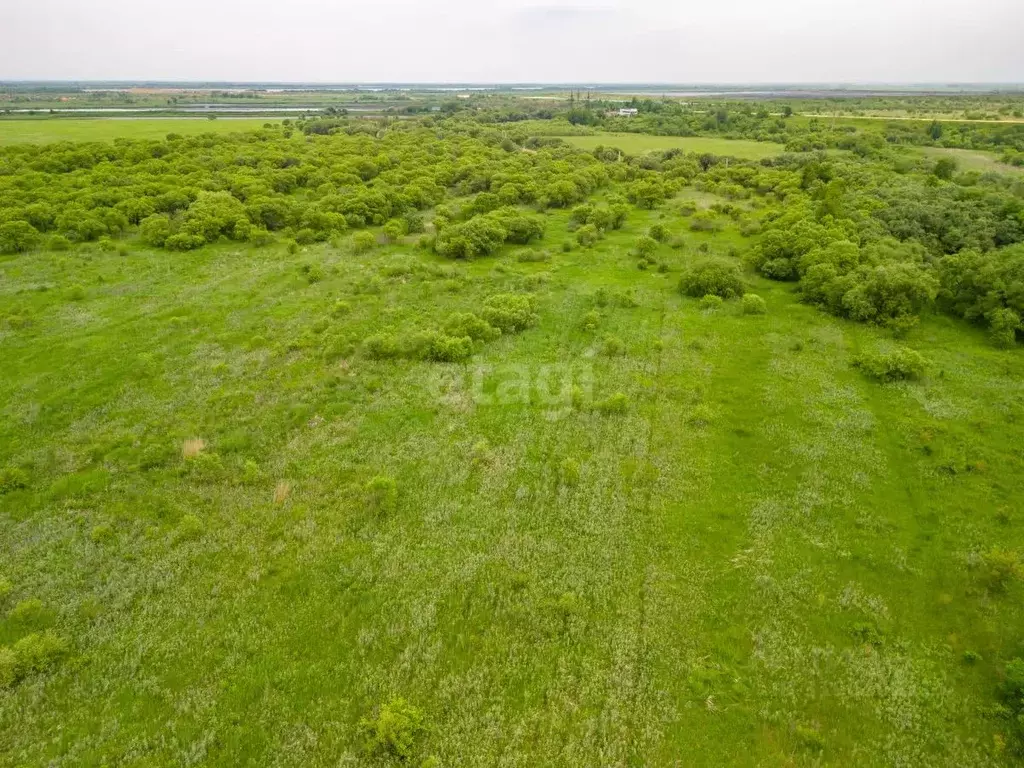 Участок в Хабаровский край, Хабаровский район, Мичуринское с/пос, с. ... - Фото 1
