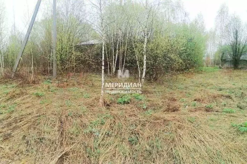 Участок в Нижегородская область, Городецкий муниципальный округ, д. ... - Фото 0