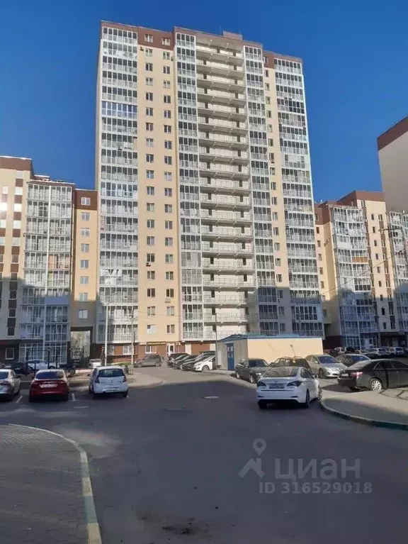 Студия Воронежская область, Воронеж ул. Артамонова, 34Ж (20.3 м) - Фото 1
