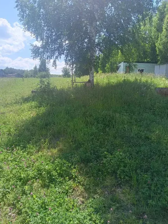 Участок в Кемеровская область, Новокузнецкий муниципальный округ, пос. ... - Фото 1