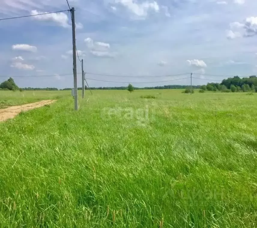 Участок в Ростовская область, Азовский район, с. Круглое пер. ... - Фото 2