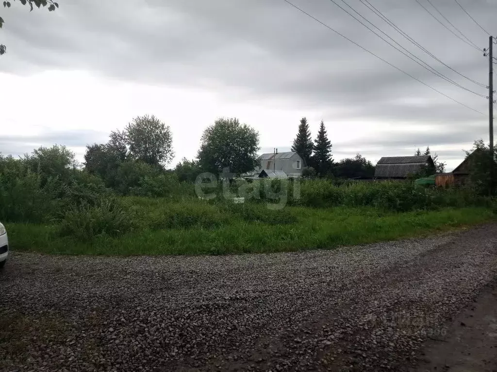 Участок в Тюменская область, Тюменский муниципальный округ, Нива СНТ ... - Фото 1