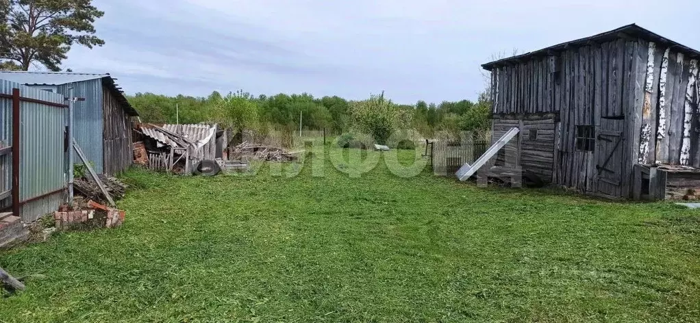 Участок в Новосибирская область, Мошковский район, с. Барлак ... - Фото 1