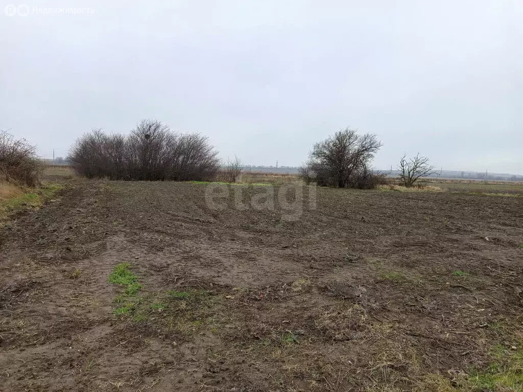Участок в Краснодарский край, Темрюк (10 м) - Фото 1