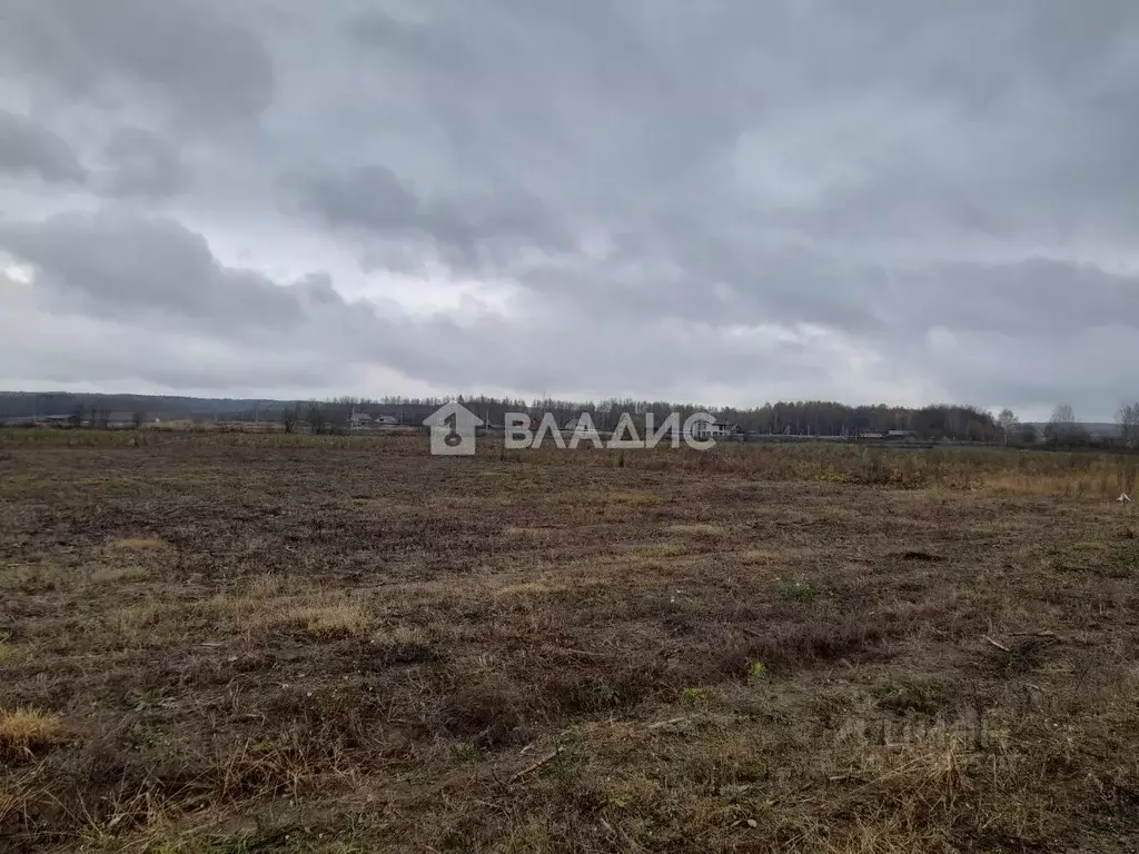 Участок в Владимирская область, Собинский муниципальный округ, д. ... - Фото 1