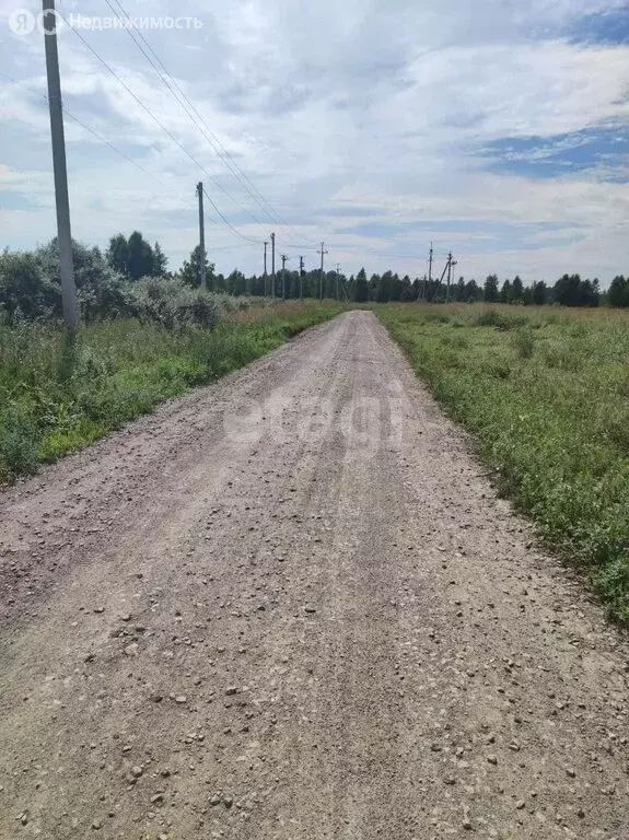 Участок в Новосибирский район, Морской сельсовет, село Ленинское (10 ... - Фото 1