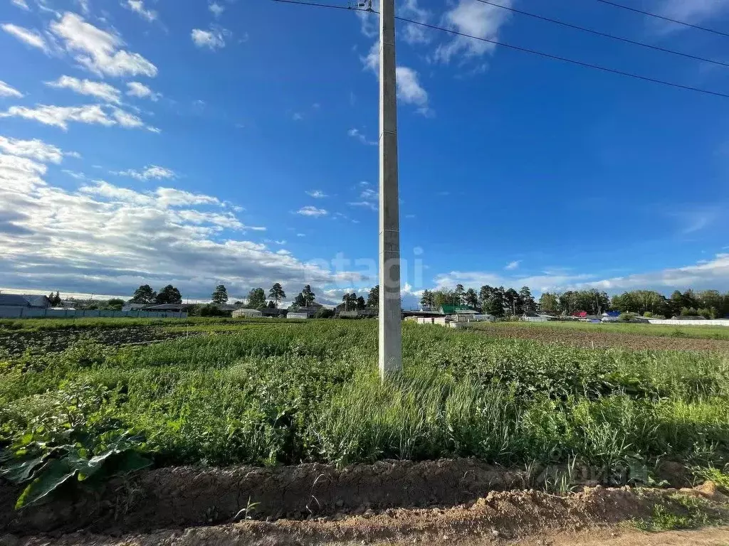 Участок в Тюменская область, Тюменский муниципальный округ, д. Ушакова ... - Фото 2