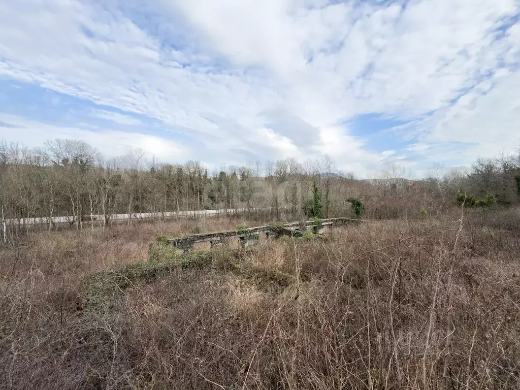 Участок в Краснодарский край, Геленджик городской округ, с. ... - Фото 1