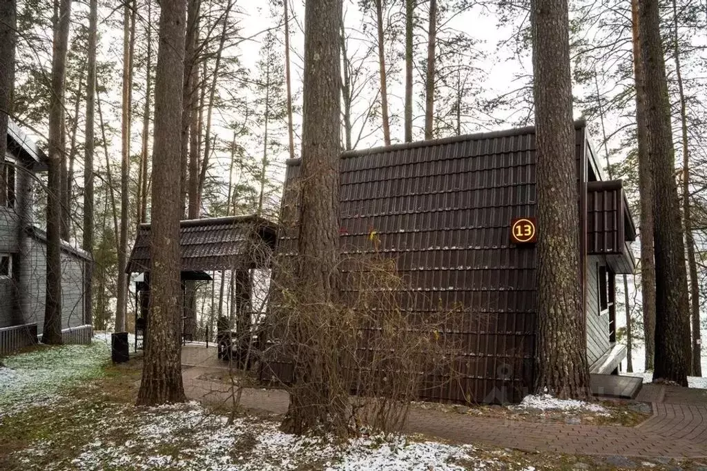 Дом в Алтай, Майминский район Р-256 Чуйский тракт, 479-й км (22 м) - Фото 0