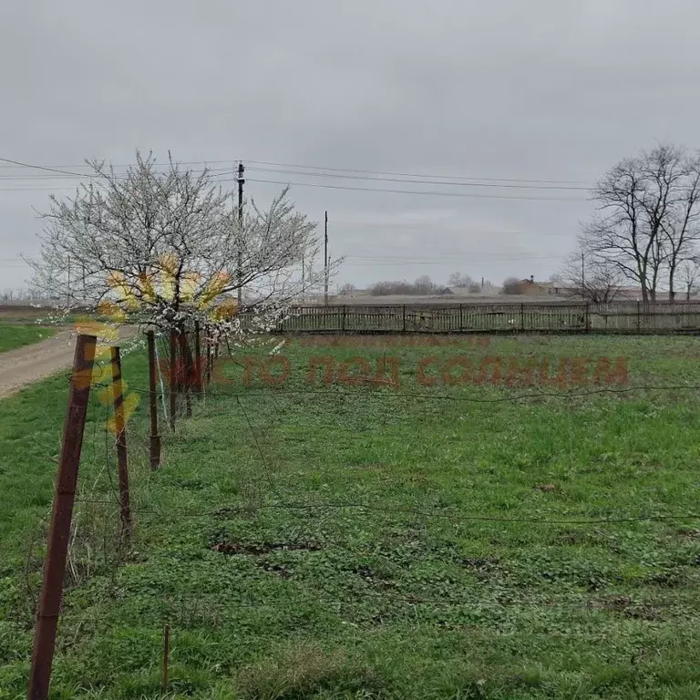 Участок в Краснодарский край, Щербиновский район, Ейскоукрепленское ... - Фото 1