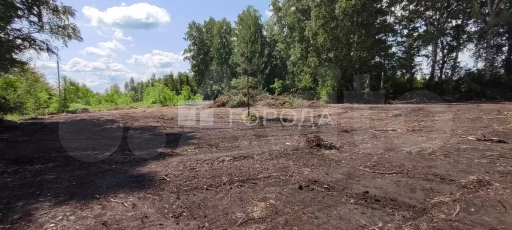 Участок 15 сот. (ИЖС) - Фото 0