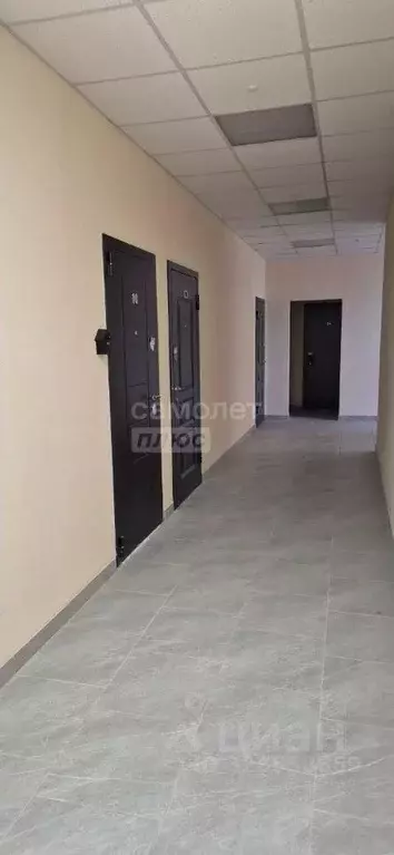 Студия Крым, Евпатория ул. Франко, 22 (26.8 м) - Фото 2