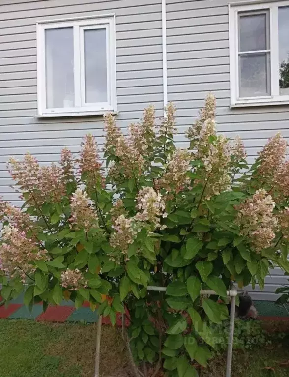 Дом в Московская область, Солнечногорск городской округ, с. Алабушево  ... - Фото 1