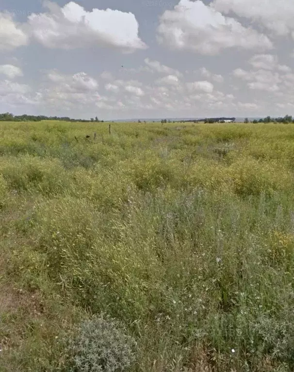 Участок в Карачаево-Черкесия, Псыж аул ул. Братьев Кишмаховых (10.0 ... - Фото 2