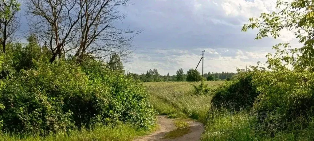 Участок в Псковская область, Псковский муниципальный округ, ... - Фото 1
