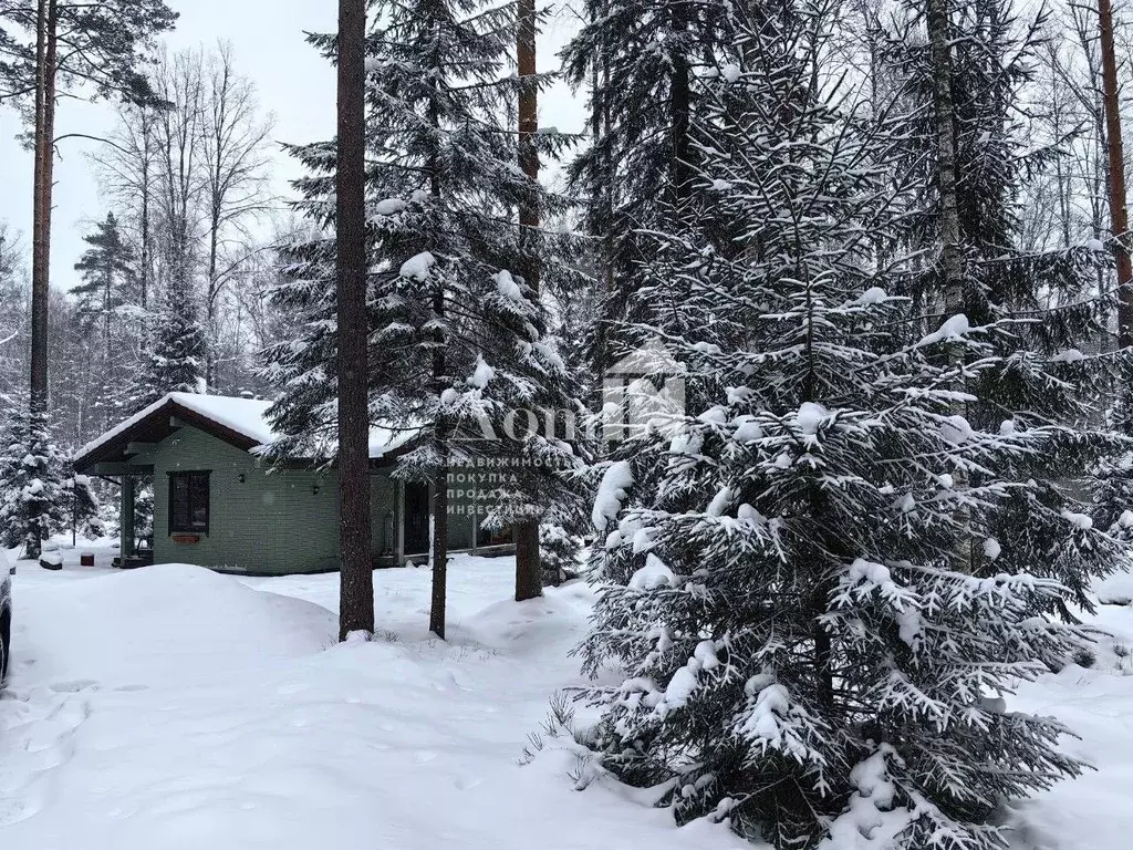 Коттедж в Ленинградская область, Выборгский район, Приморское ... - Фото 1