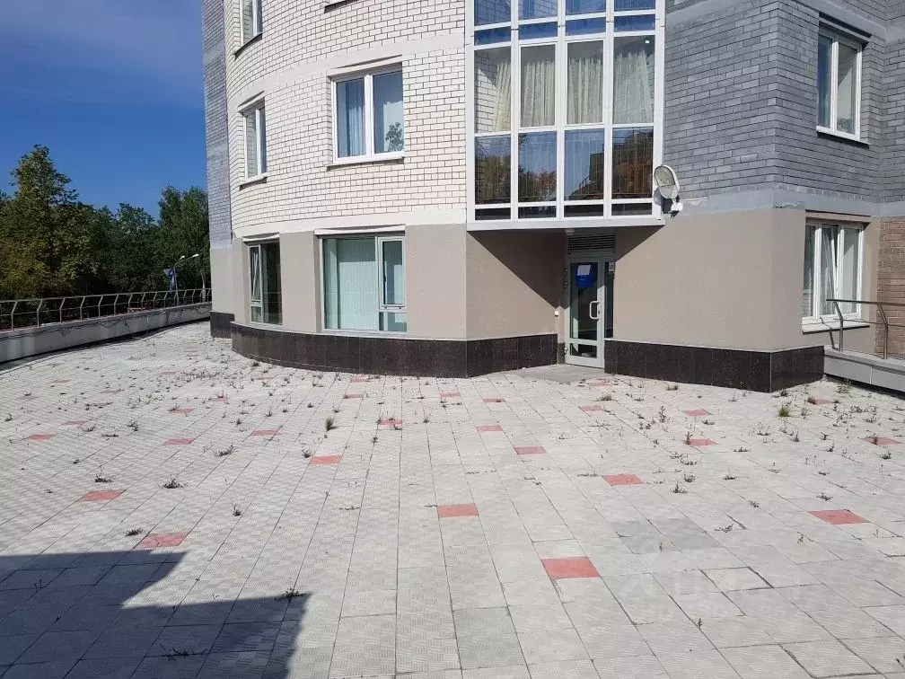 Помещение свободного назначения в Свердловская область, Екатеринбург ... - Фото 2