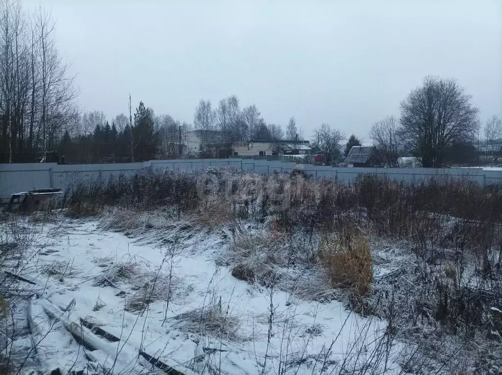 Участок в Ярославская область, Некрасовский муниципальный округ, д. ... - Фото 1