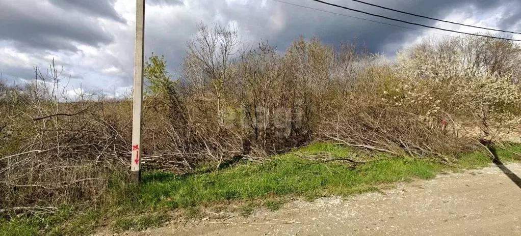 Участок в Краснодарский край, Новороссийск городской округ, Убых хут.  ... - Фото 1