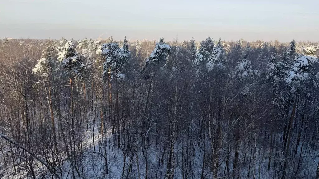 2-к кв. Московская область, Балашиха Железнодорожный мкр, ул. ... - Фото 1