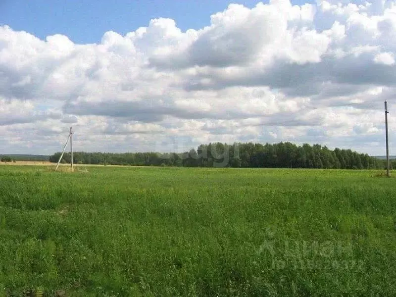 Участок в Архангельская область, Котласский муниципальный округ, ... - Фото 0