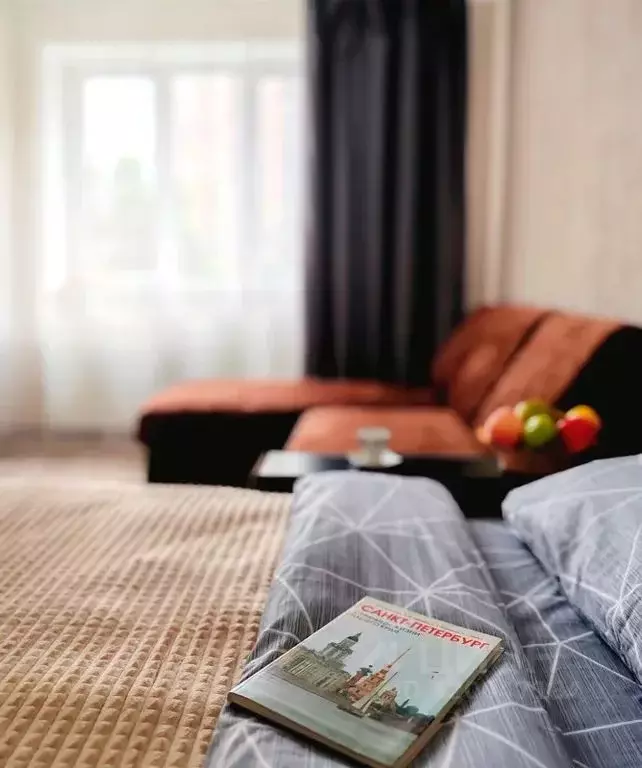 1-к кв. Санкт-Петербург пос. Парголово, ул. Федора Абрамова, 8 (40.0 ... - Фото 2