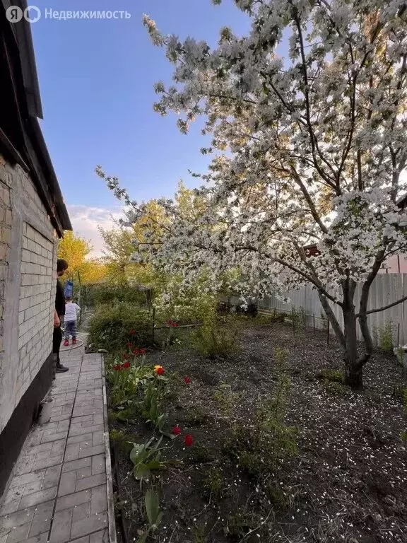 Дом в Саратов, СНТ Лесопильный (15 м) - Фото 1