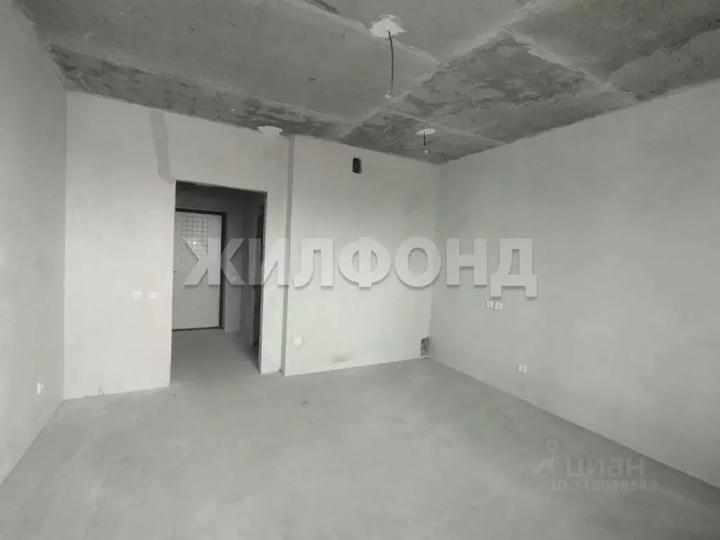 Студия Новосибирская область, Новосибирск 2-я Воинская ул., 53 (24.7 ... - Фото 1
