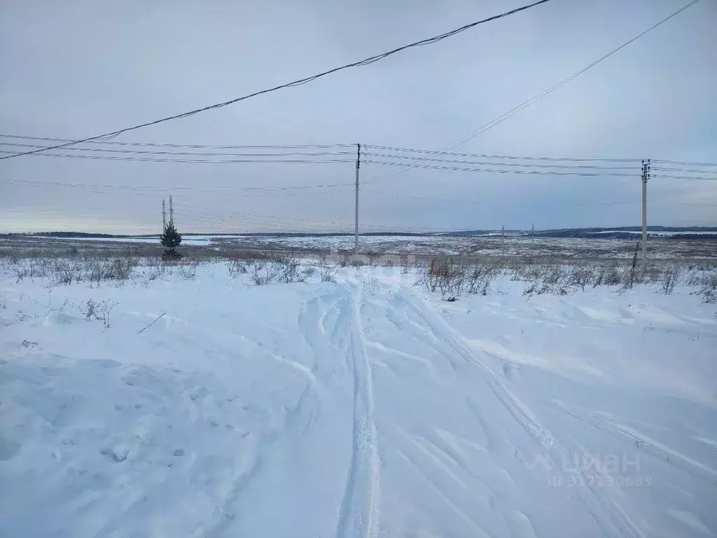Участок в Иркутская область, Иркутский муниципальный округ, с. ... - Фото 1