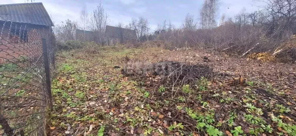 Участок в Алтай, Горно-Алтайск Березовая роща садоводческое ... - Фото 1