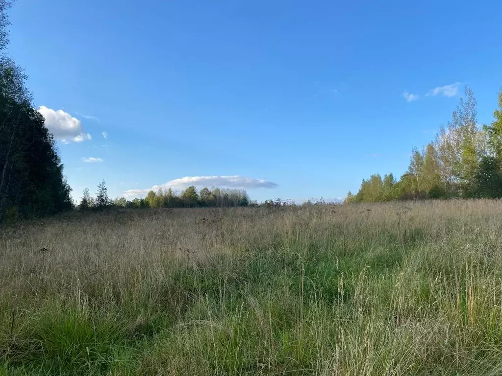 Участок в Псковская область, Пушкиногорье городское поселение, д. ... - Фото 1