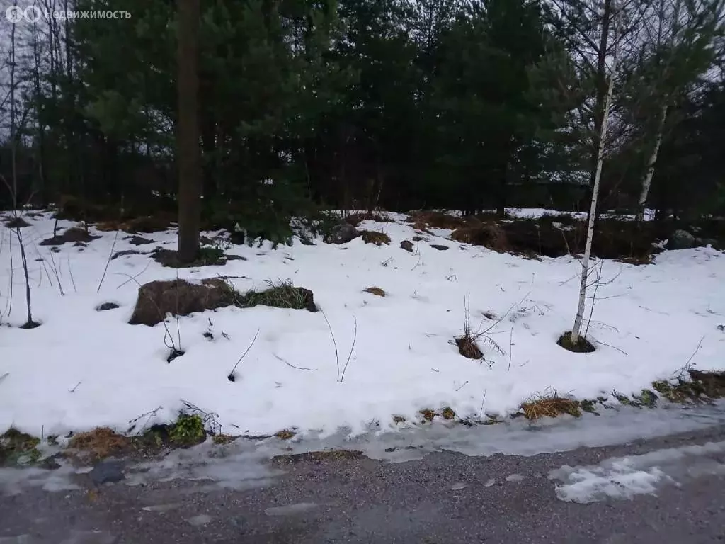 Участок в Приозерск, улица Матросова (8 м) - Фото 0